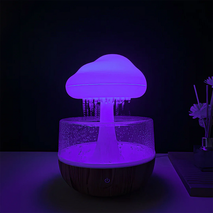 Cloudle Rain Cloud Humidifier